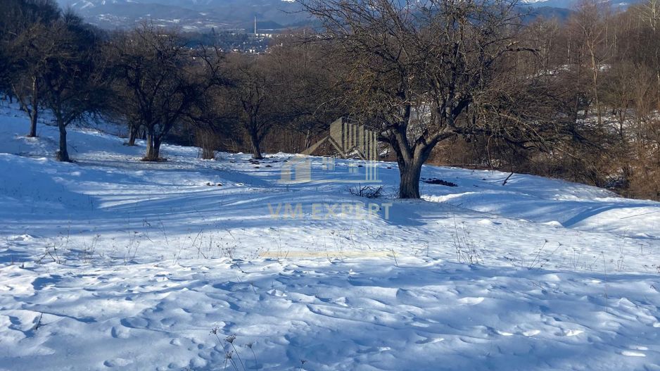 TEREN INTRAVILAN 8522 MP, CAMPULUNG - Poză 5