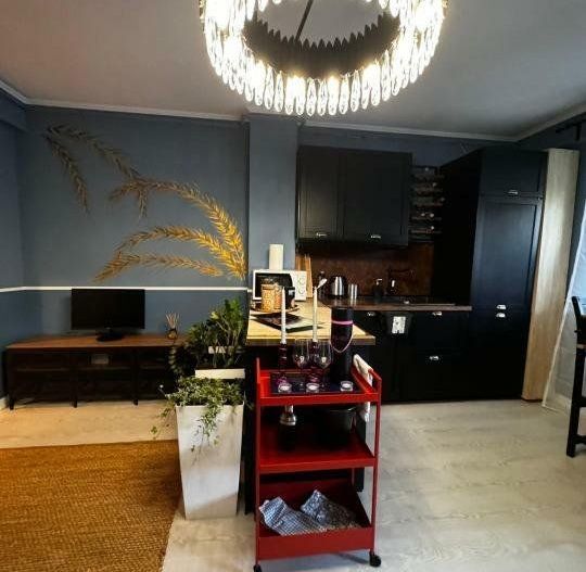 Apartament cu terasa si parcare,ultracentral ,str. Matei Voievod,finisaje de lux - Poză 2