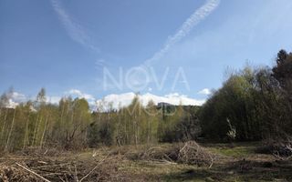 Teren intravilan de vanzare - Vistisoara - Poză 6