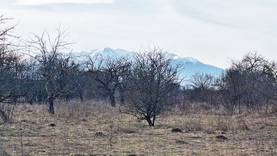 Teren intravilan pentru Investitie!!!,933mp in Ghimbav, 50 euro/mp neg. - Poză 6