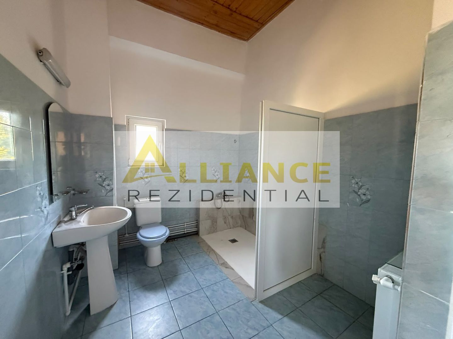 Casa individuala de vanzare in Catelu - 14 camere - teren 1550 mp - Poză 47