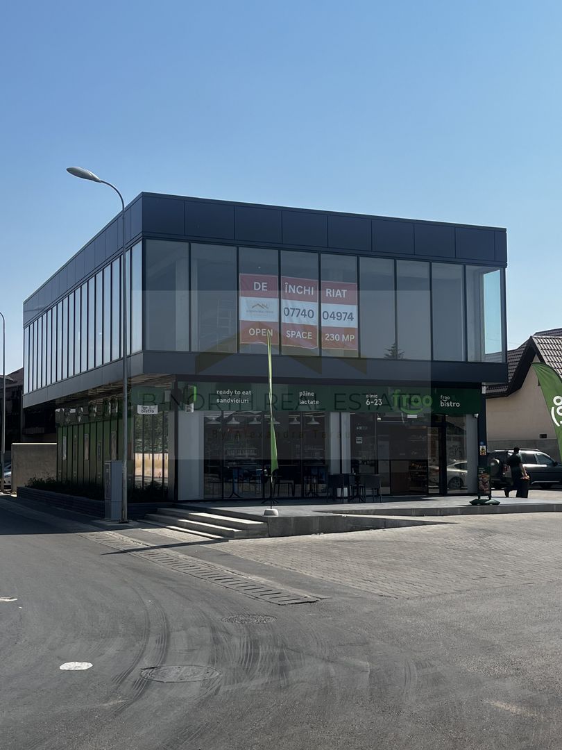 SPATIU COMERCIAL 230 mp - Poză 1