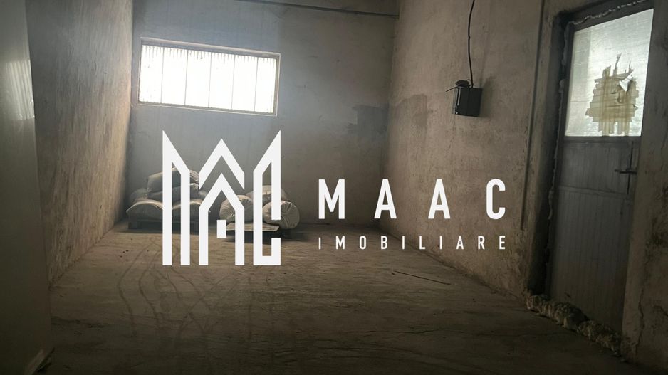 Hala | 380 MP | Teren 800 MP - Poză 4