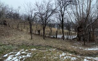 Teren 4652 mp cu izvor pe el, Lunca Mare, lângă păstrăvăria Doftana - Poză 8