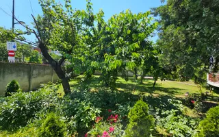 Casa eleganta cu tavane inalte si gradina superba - Poză 14