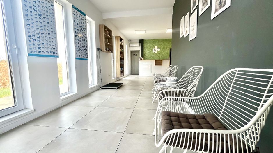 Spatiu comercial, amenajat si compartimentat, in Dumbrăvița - Poză 1