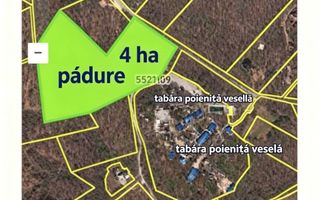 Chirie teren forestier -  4 ha direct la traseul Chișinău-Hîncești - Poză 2