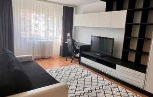 # Apartament cu o camera Pet friendly - Poză 1