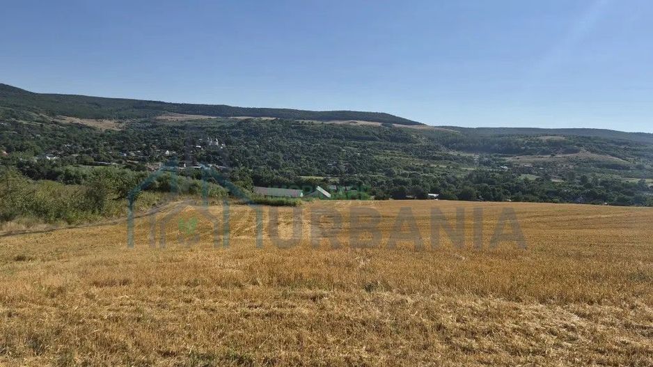 Teren intravilan - Poză 2