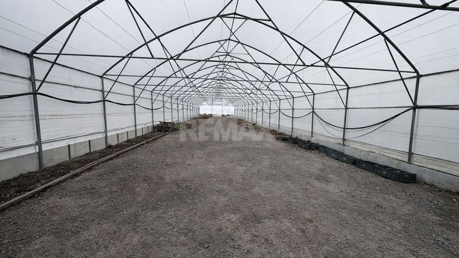 Investiție agricolă, Anenii Noi - Poză 17