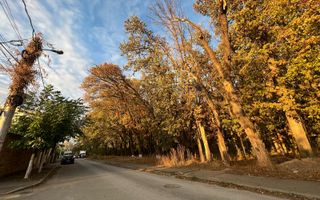 Teren intravilan - vanzare - Colentina - Padurea Andronache - Poză 5