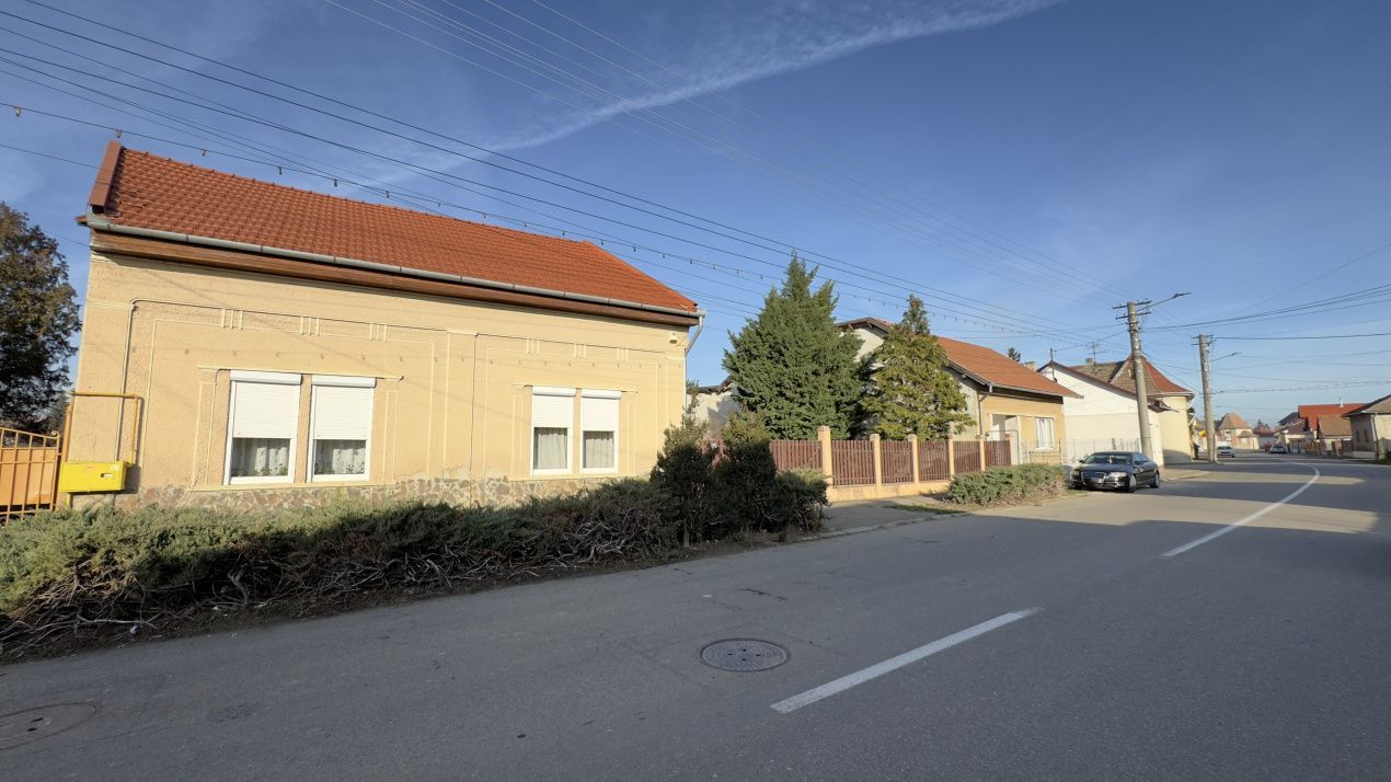 Casă 4 camere cu Teren 2.974 mp | Rezidență sau afacere | Carei - Poză 11