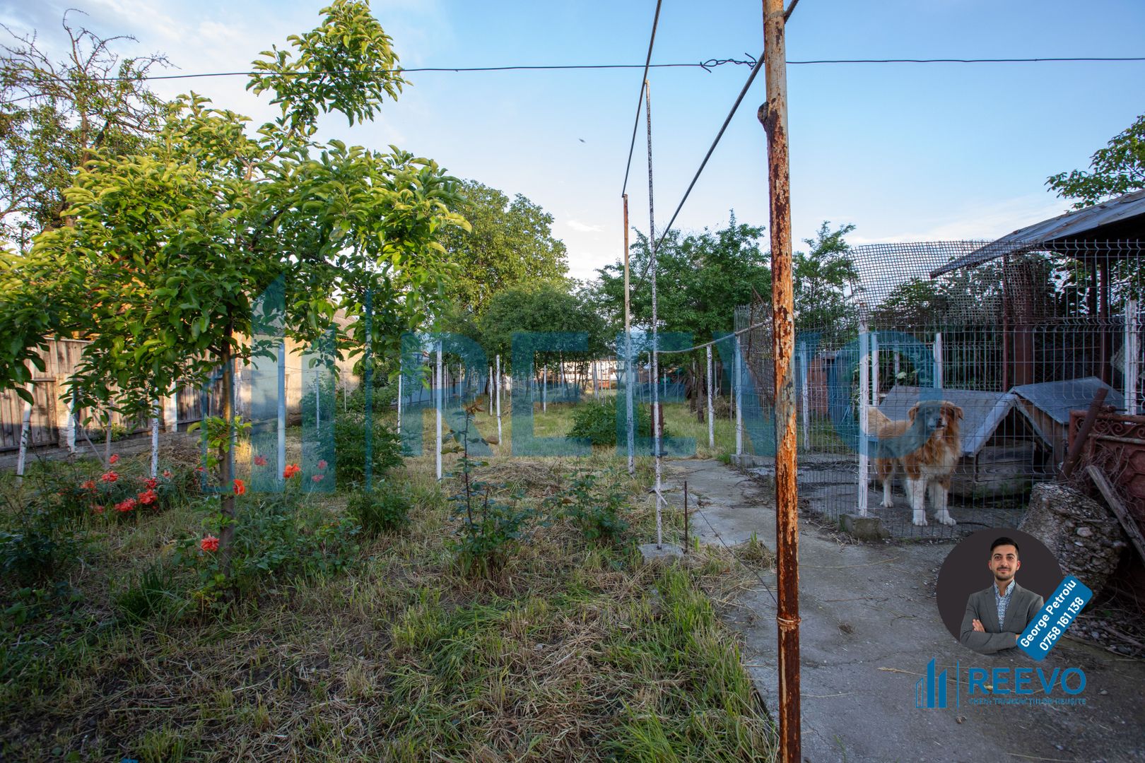 Casă + Spațiu Comercial de vânzare, Șerbanești, Bacău - Poză 44