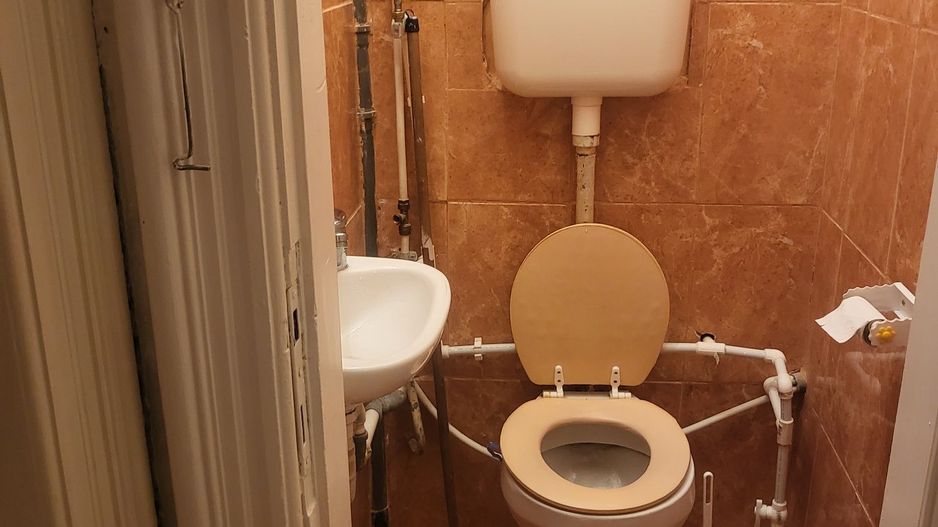 Vand apartament in vila - Poză 8