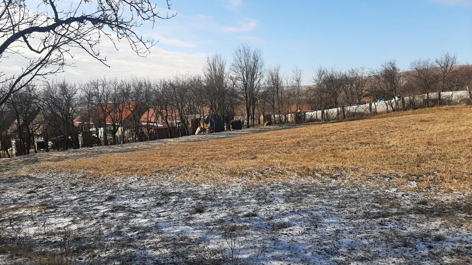 Teren de vanzare in Rediu - Poză 3