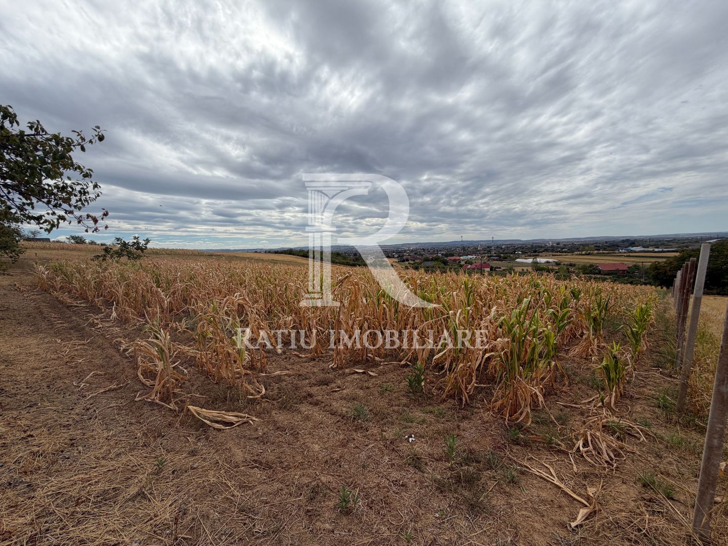 Teren intravilan 1.770 mp – Uileacu de Criș, Tileagd - Poză 3