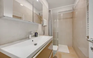 Herastrau | Apartament 3 camere + Garsoniera  | Curte intima | 2 Parcari + Boxa - Poză 41