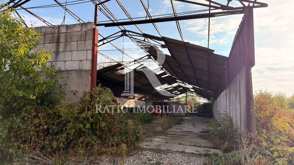 Fermă Sărand | Bihor | 25.659 mp teren intravilan - Poză 23