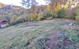 Teren intravilan Brasov Strada Ciresului 2900 mp - Poză 8