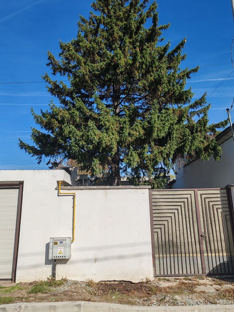 Spațiu birouri & Depozitare în Jilava – Ideal Firme, Magazin on-line - Poză 23