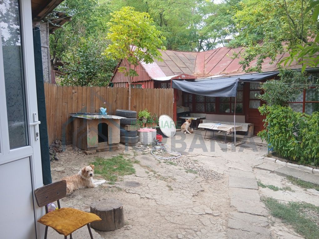 Teren intravilan 1.450 mp cu casă și anexă – Podu Iloaiei, Iași - Poză 6
