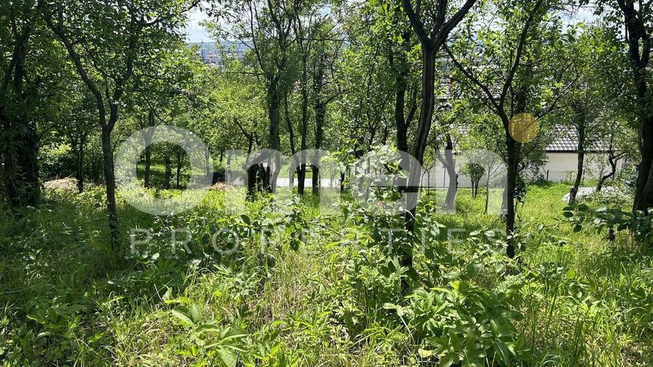 Teren de vanzare | 886 mp | strada Viilor, Baia Mare. - Poză 7