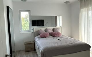 Casă P+1 single Tunari - Poză 4