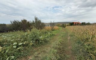 Teren construibil – 1.000 mp | Gădălin - Poză 4