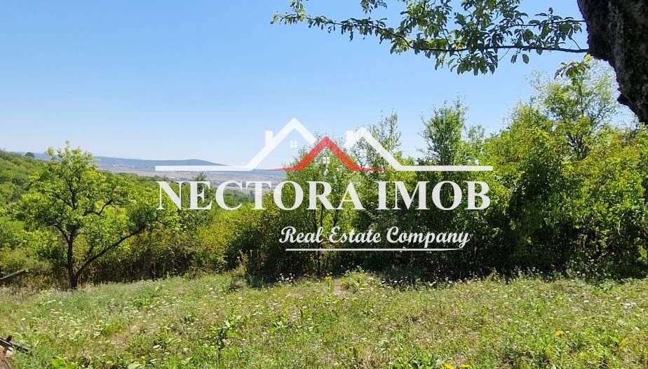 NECTORA IMOB-Teren Zona Podgoria,3400 mp (Intravilan + Extravilan) - Poză 2