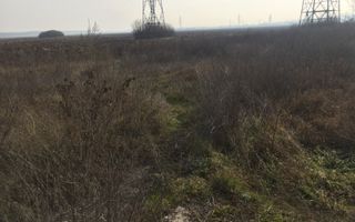 teren Cernica sat Caldararu - Poză 7