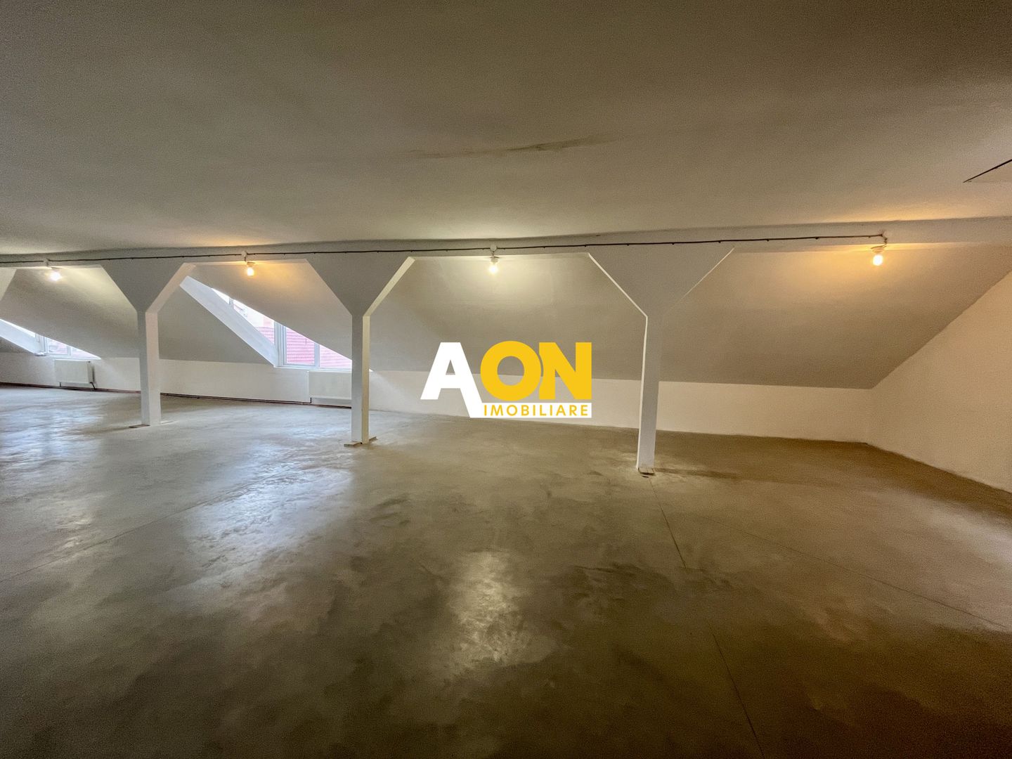 Spațiu Comercial, 400mp Nivel, Cetate - Poză 6