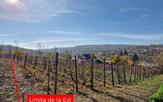 🏡 Teren intravilan 1308 mp Rediu | 9 min (5.8km) Copou / 9 min (5.8km) Pacurari - Poză 2