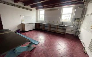 Casa de inchiriat cu 5 camere pentru muncitori zona Freidorf - Poză 5