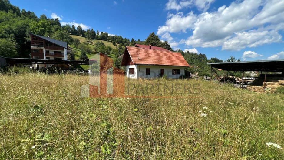 Teren Bran Poarta langa Padure - Poză 7