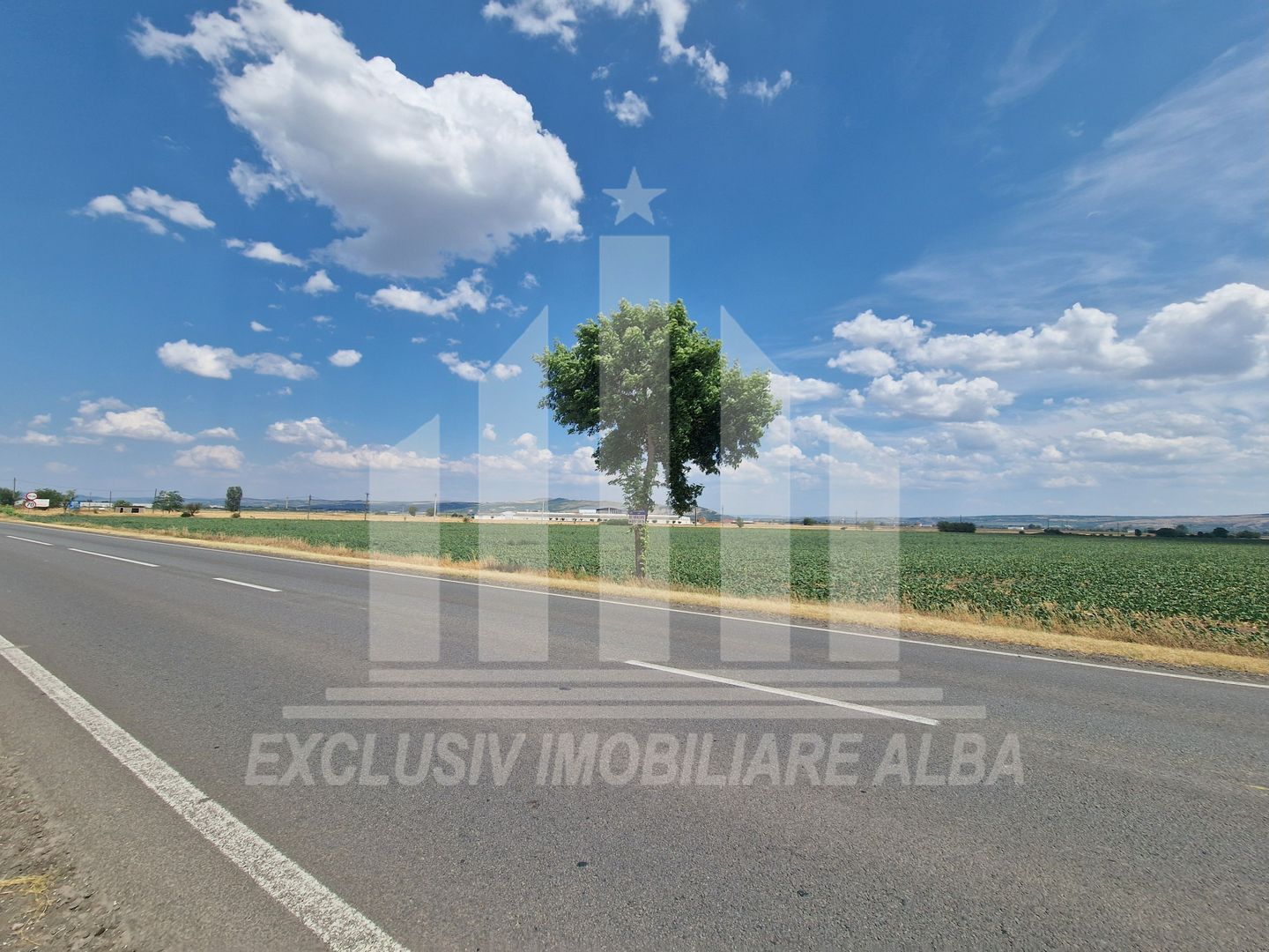 Teren agricol la sosea, pretabil si ptr constructii industriale - Poză 8