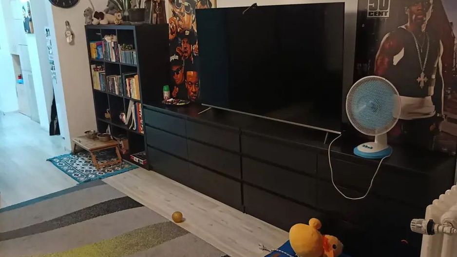 garsoniera - Lucretiu Patrascanu - Costin Georgian - Poză 1