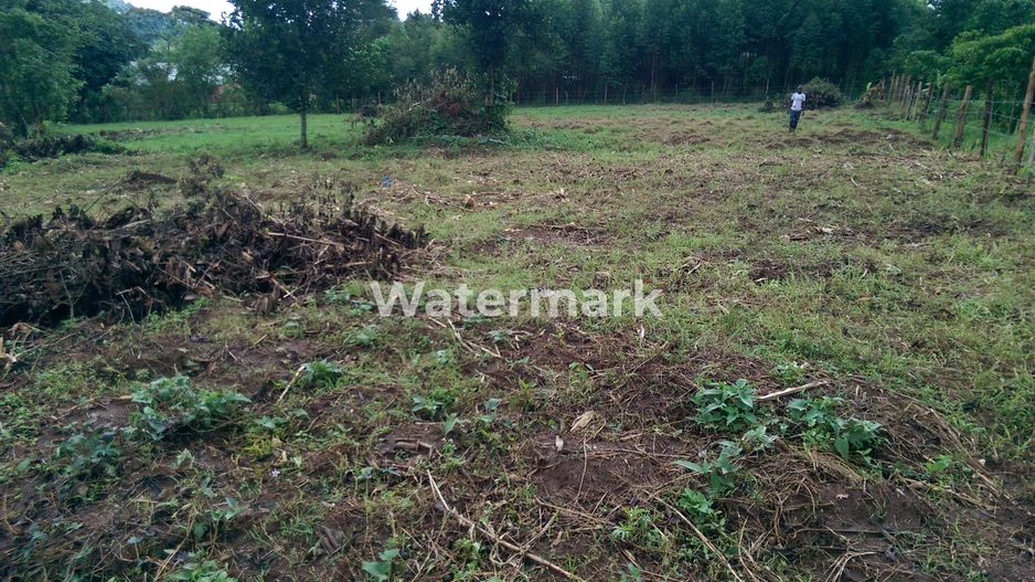 Teren cu PUD de vanzare! Pret excelent! - Poză 1