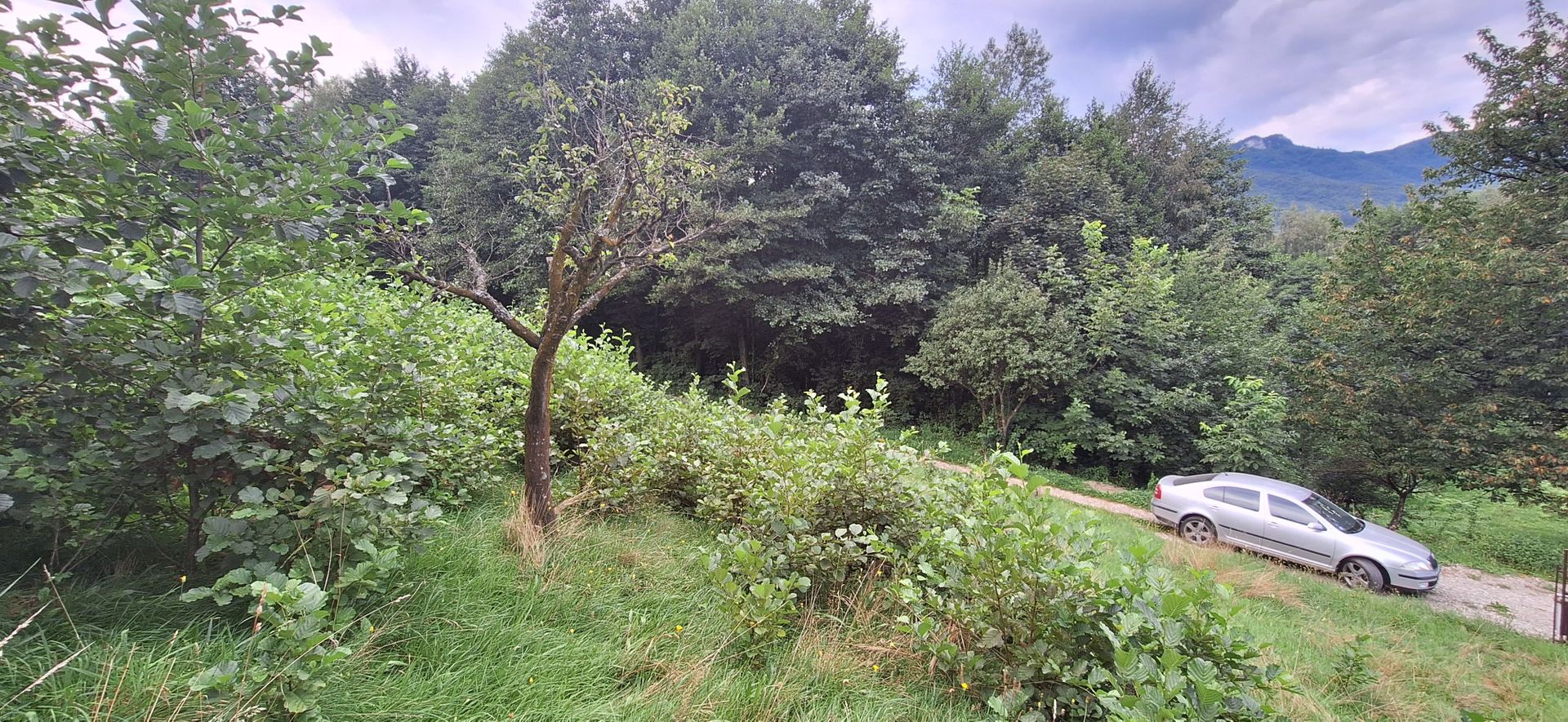 Bran-Predelut doua parcele de 2000+3000mp pret 25 euro/mp - Poză 18