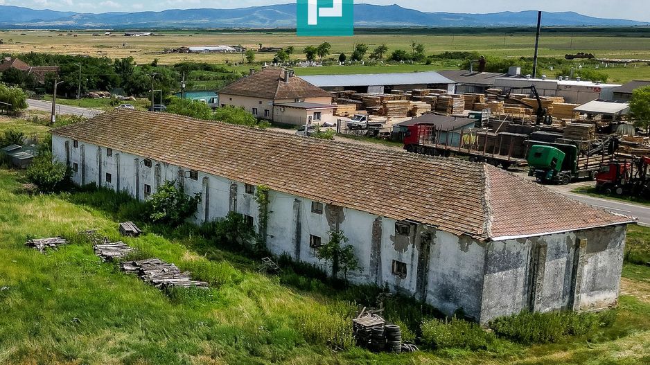 Hală industrială cu teren generos în Zărand, Arad - Poză 6