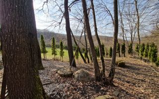 Casa din lemn D+P+M de 400 mp utili si teren 3.000 mp zona Faget - Poză 20