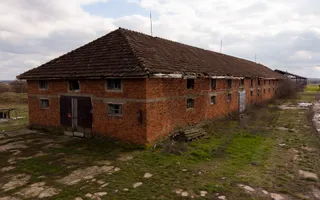 Fermă cu teren intravilan de 35000 mp în Mișca - Poză 19