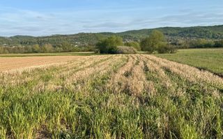 Teren INTRAVILAN de vanzare - Remetea Chioarului - Poză 1