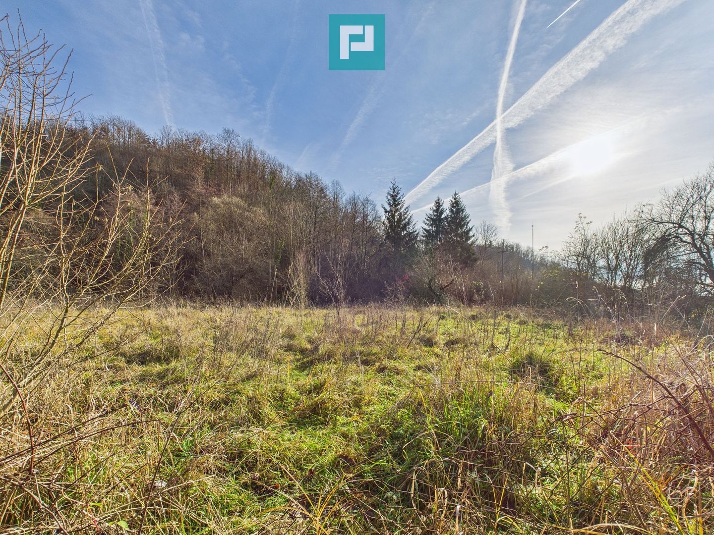 Casă P+E+M cu teren 8163 mp – Roşia Nouă (Petriş) - Poză 14