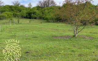 Teren Extravilan - Ghinda - 3.5000mp-Parcelabil - Poză 5