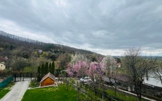 Casă de vacanță în Tocile - Poză 18