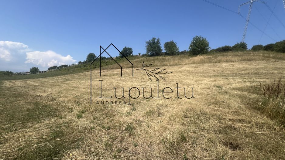 Teren Intravilan |5.000 MPU | Șura-Mare | - Poză 6