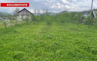 Teren Intravilan 12500 mp Drajna de Sus - Teisani. - Poză 1