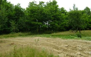 Teren de vanzare Cornu 3074 mp - Poză 6