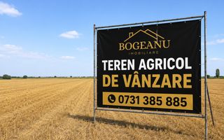 BG185-Teren agricol 6,11 ha Cornești Timis– acces asfalt–14.000 €/ha - Poză 1