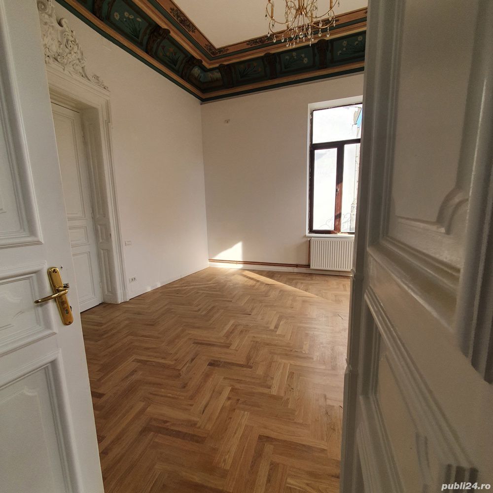 Vila Reprezentativa  8 camere Calea Mosilor - Poză 22